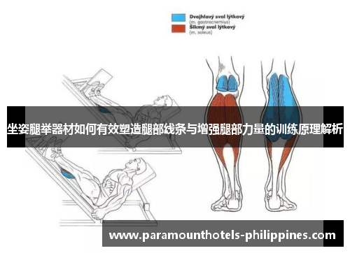 坐姿腿举器材如何有效塑造腿部线条与增强腿部力量的训练原理解析